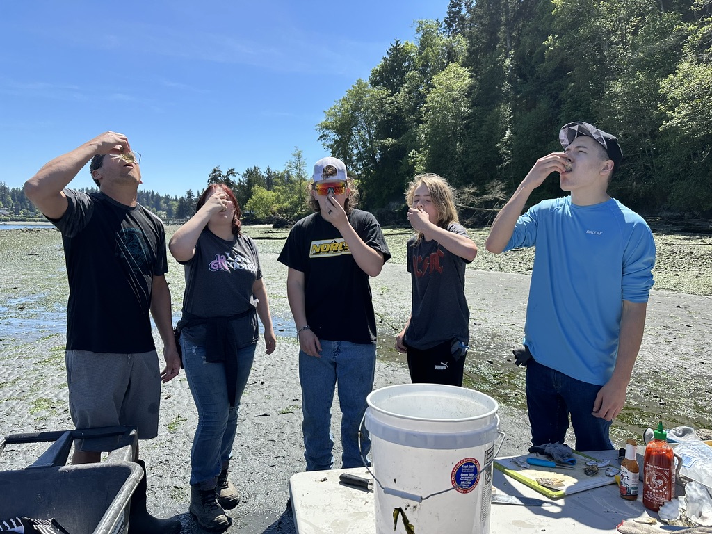 IBSS and Bonney Lake High School (BLHS) culinary students taste testing oysters.