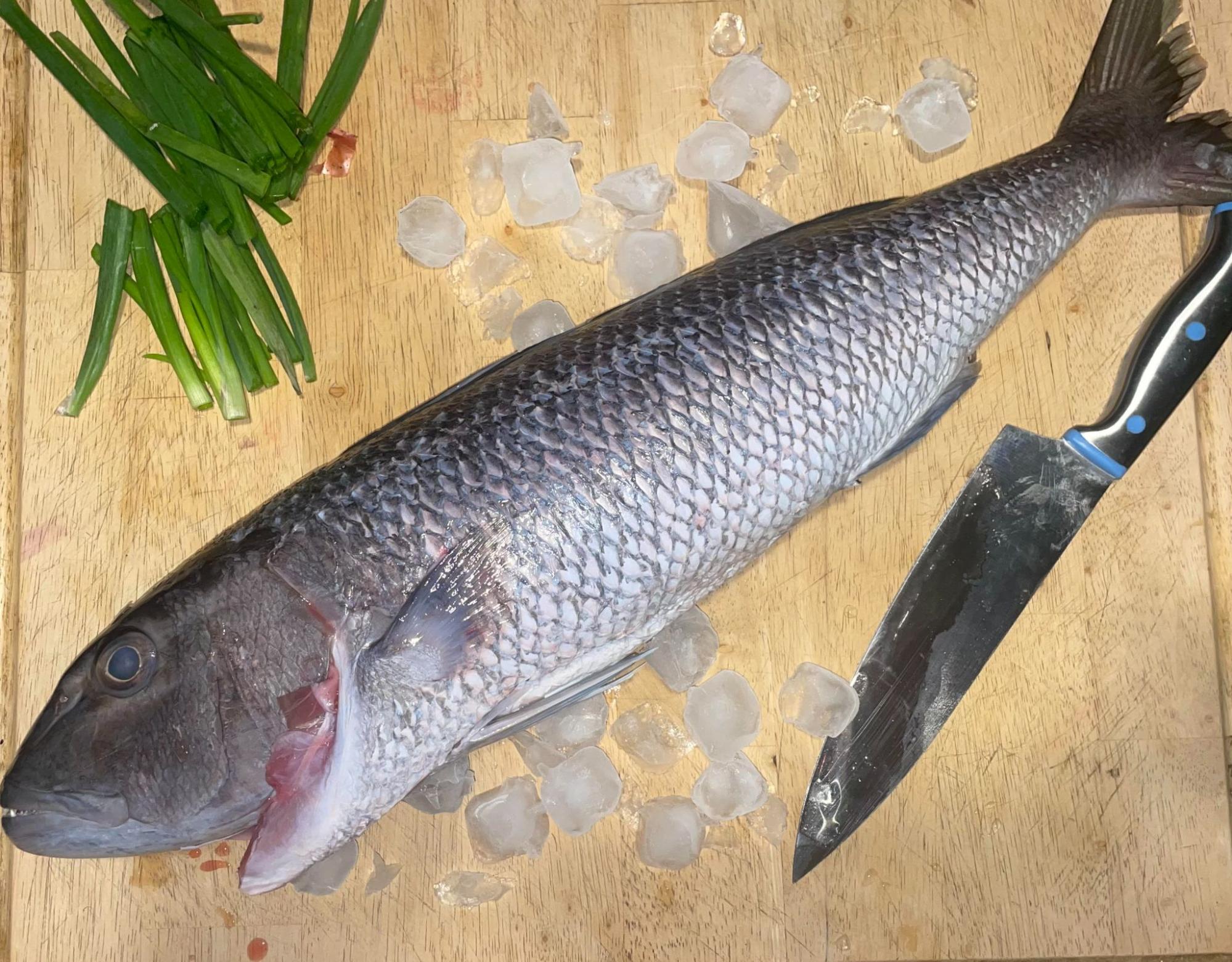 A shiny silver whole fish laying across a tan cutting board with a silver knife, some cubes of ice, and the ends of fresh green onions chopped in half.