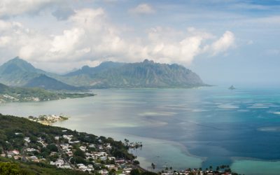 IBSS Celebrates Species Preservation Research in Kāneʻohe Bay