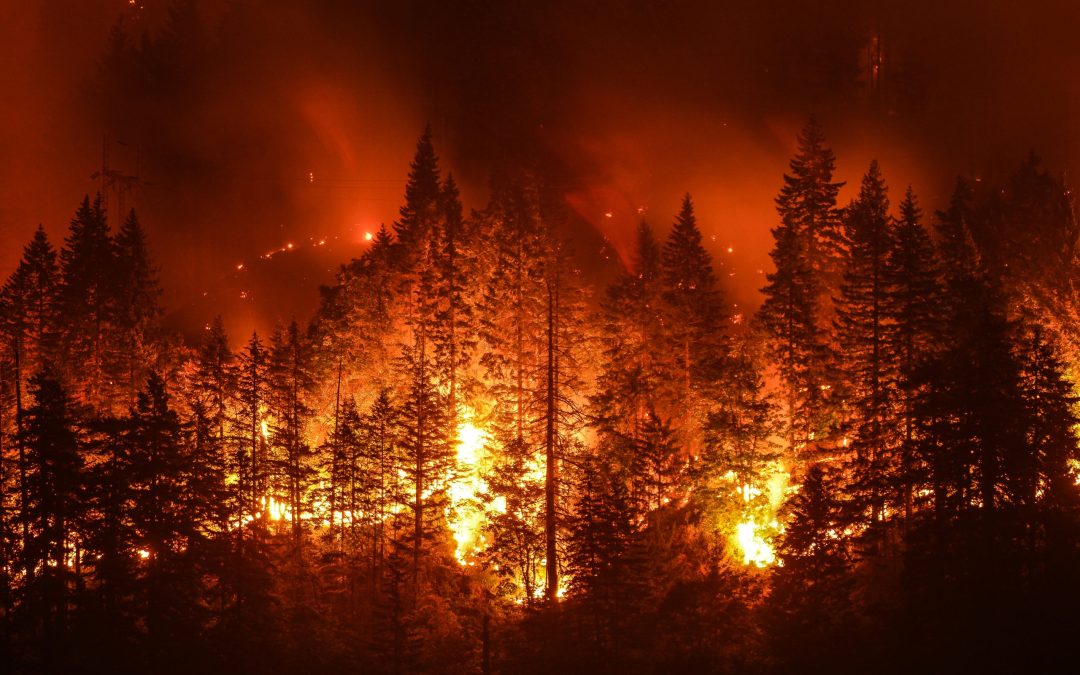 The Growing Threat of Wildfires: Mitigating Fire Weather Impacts on Society