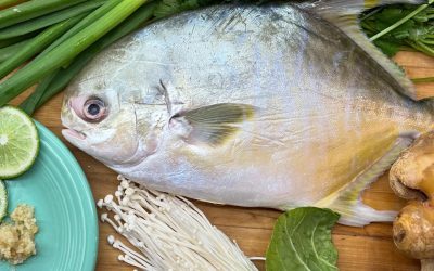 In Search of the Perfect Bite: Sizzling Fish with Golden Pompano