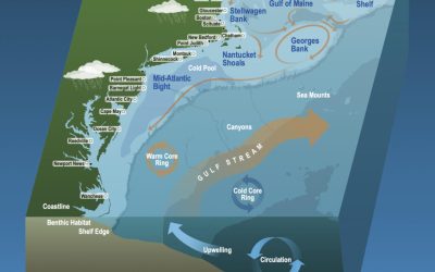 IBSS Awarded NOAA Fisheries Task Order to Support Greater Atlantic Region Ecosystem-Based Fisheries Management