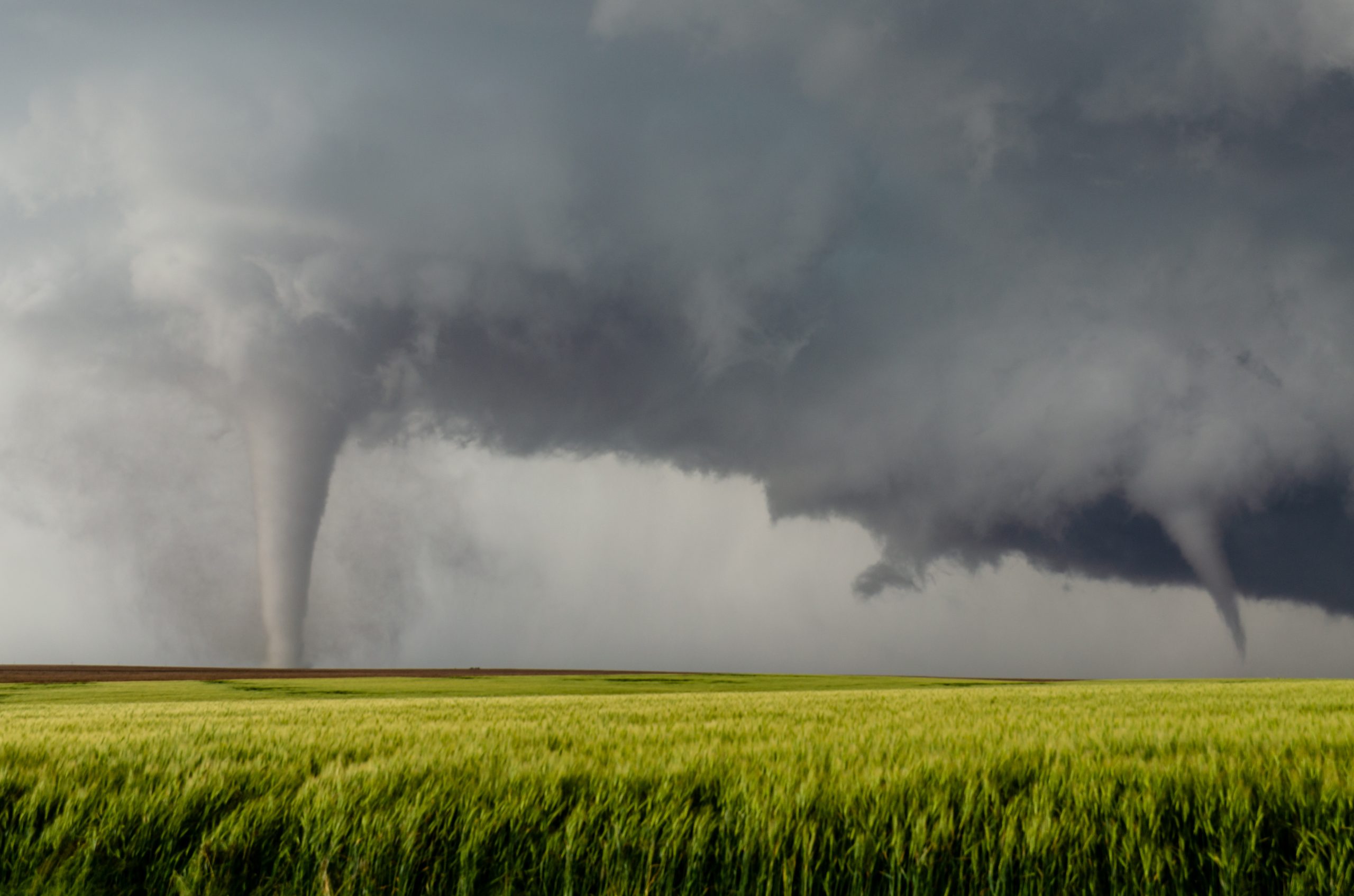 Dark cloudy sky with two tornados moving across a green field