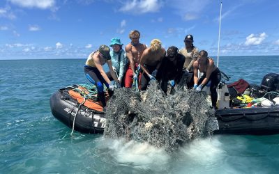 Protecting Our Reefs: Highlights from the Latest PMDP Expedition