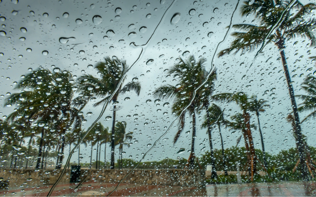 When Data Meets the Storm: How Historical Records Help Predict Tomorrow’s Weather