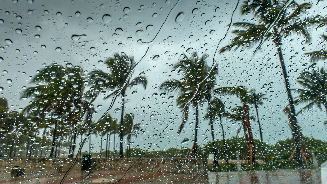 Untitled design – 2025-10-28T122133.582