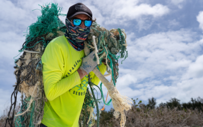 Restoring Critical Marine Habitat One Mission at a Time
