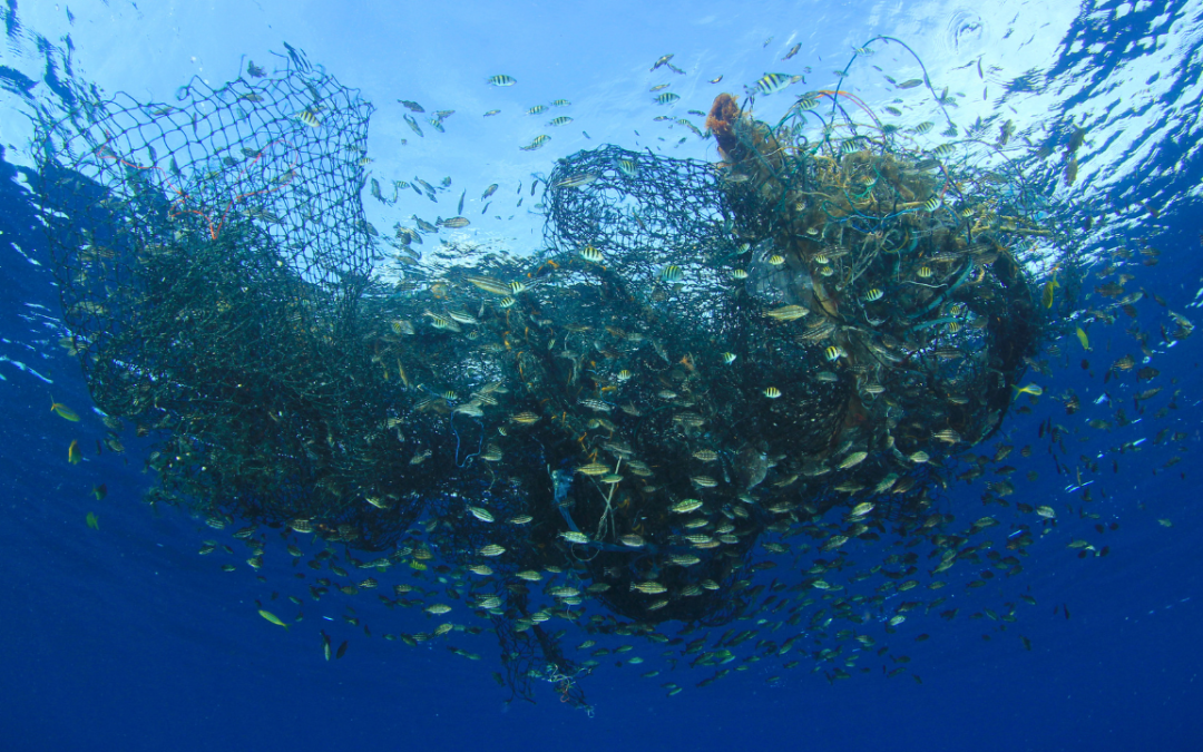 Why Ghost Nets Are One of the Ocean’s Biggest Threats