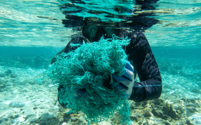The Hidden Impact of Marine Debris on Ocean Ecosystems